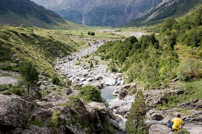 Mountain stream in the Pyrenees