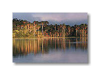 Lake Sandoval at sunrise