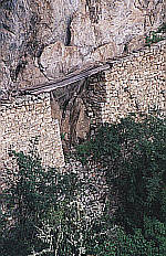 Inca Bridge closeup, 90KB