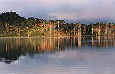 Lake Sandoval at 5AM, 45KB