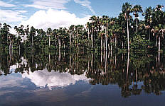 Lake Sandoval at mid-afternoon, 57KB